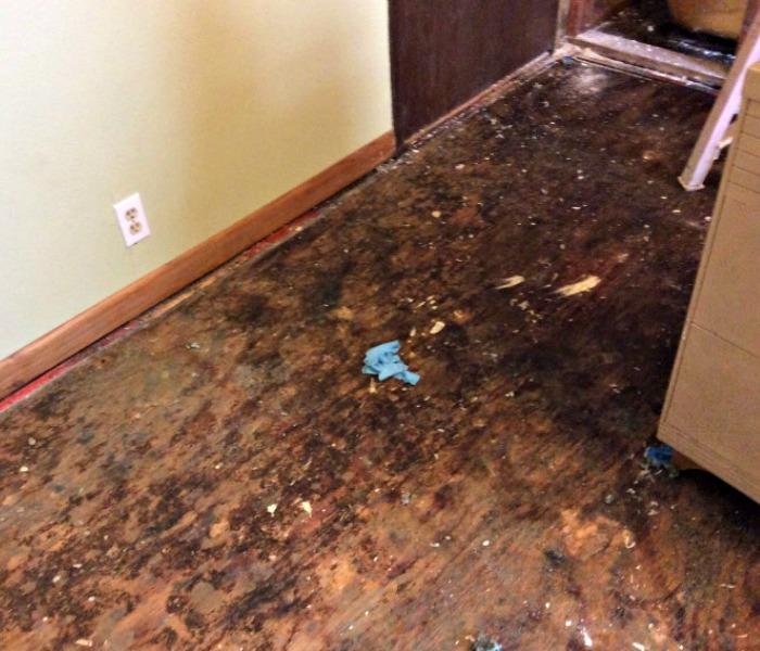 Water Damage in the Hallway | Before and After Photo